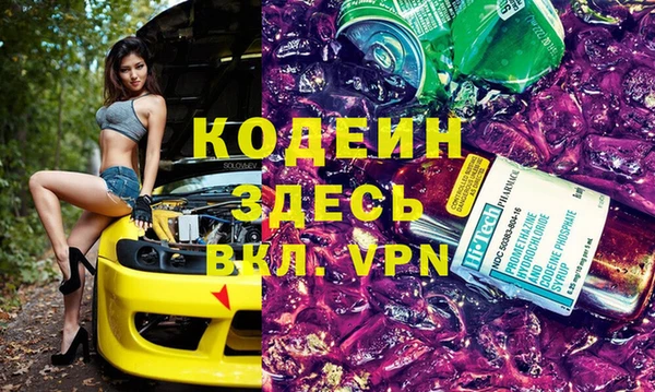 индика Алзамай