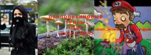 гидропоника Алексеевка