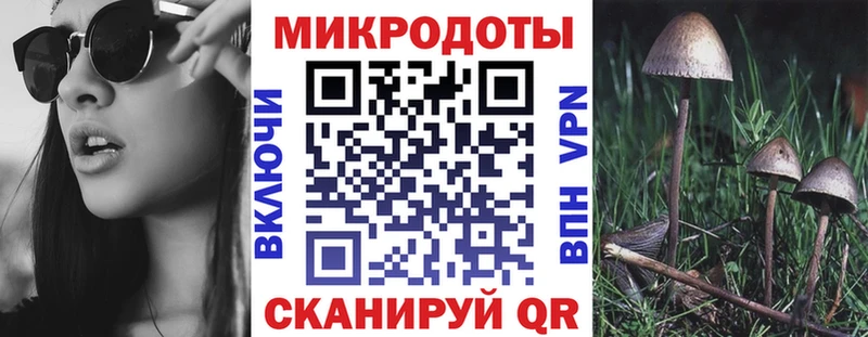 купить наркотики цена  Полысаево  кракен   Галлюциногенные грибы Psilocybine cubensis 