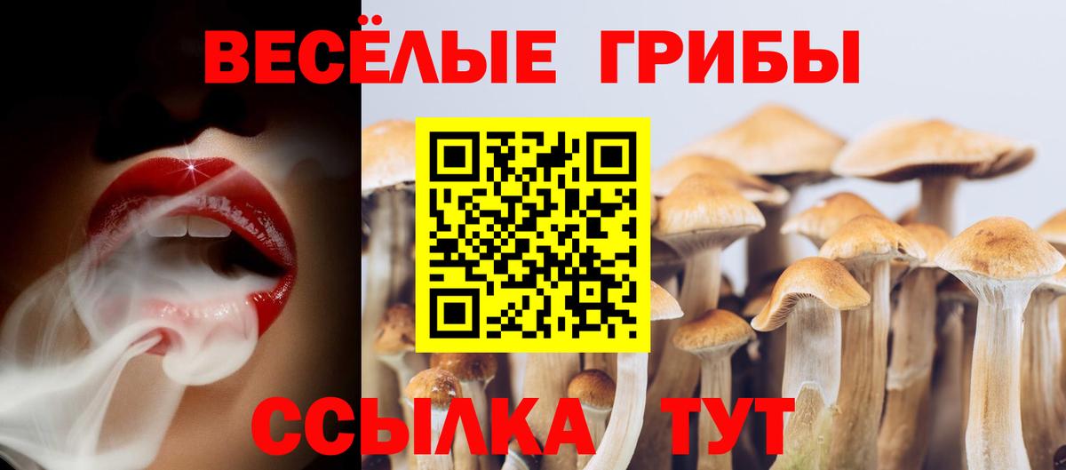 Полысаево  Псилоцибиновые грибы ЛСД  как найти закладки  Вход с VPN 